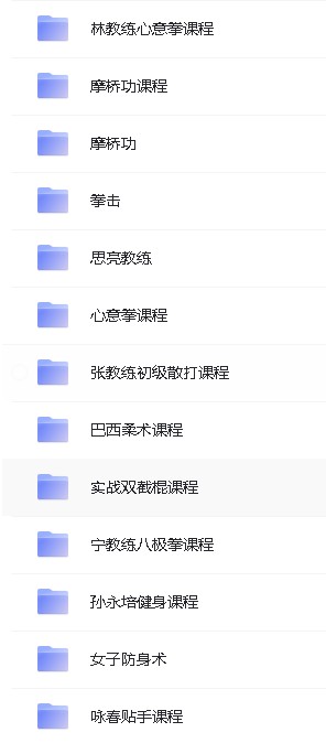 中华武术系列名师视频教程合集下载第3张