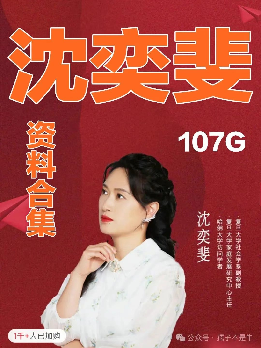 《沈奕斐资料合集》107G下载第1张