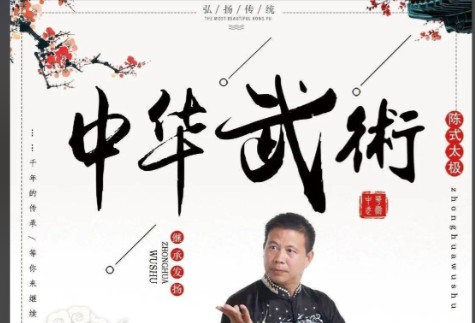 中华武术系列名师视频教程合集下载第1张
