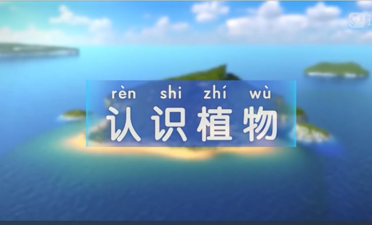 斑马百科19科全集全套3D动画视频第8张