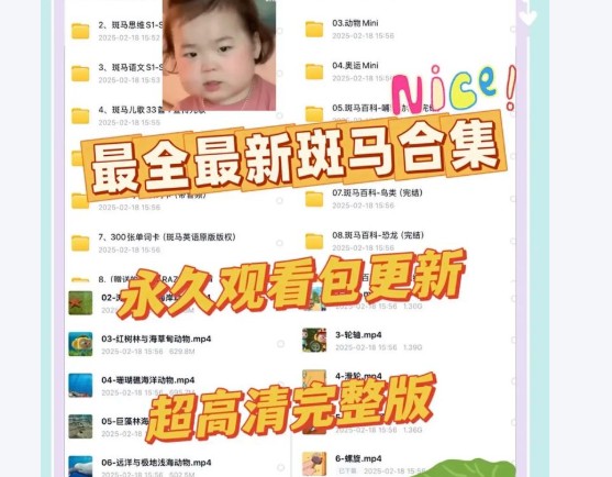 斑马资源大合集-百科/英语/阅读/思维全套视频下载,附赠上100G儿童资源第1张