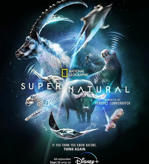 2022 《Super Natural 超自然》第一季全6集 国家地理英语纪录片第1张