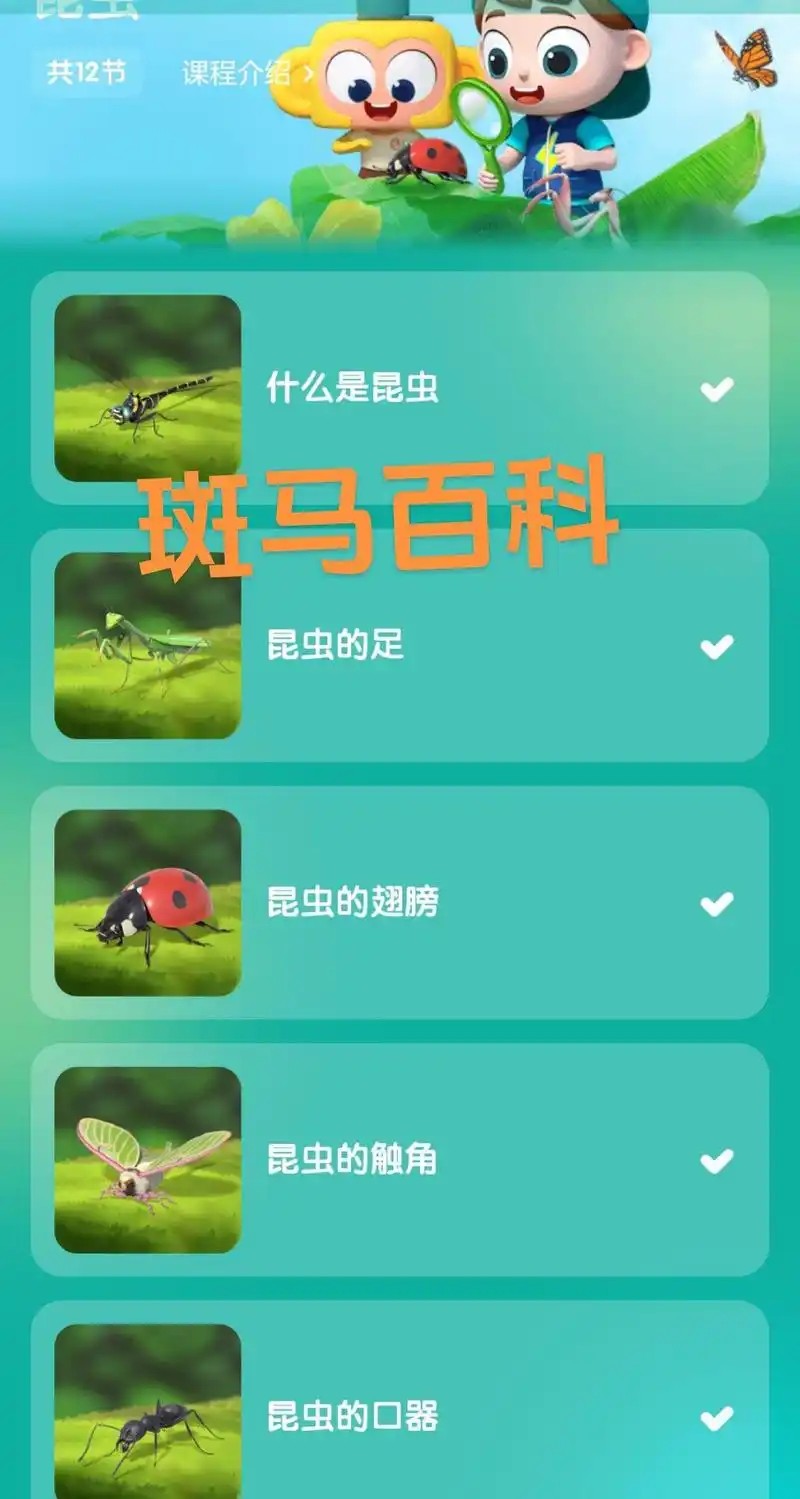 斑马百科动画最新整共34个主题第3张