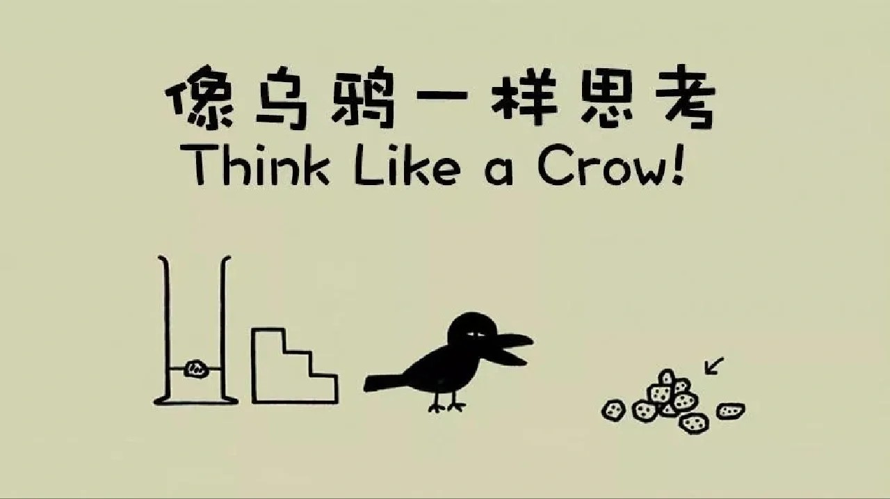 像乌鸦一样思考Think Like a Crow全20集视频下载第1张