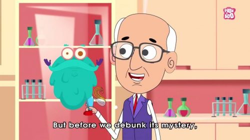 《百诺博士Peekaboo Kidz》全449集-英文科普动画片第1张