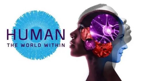 《人类：体内的世界 Human: The World Within》英文版全6集下载Netflix纪录片第1张