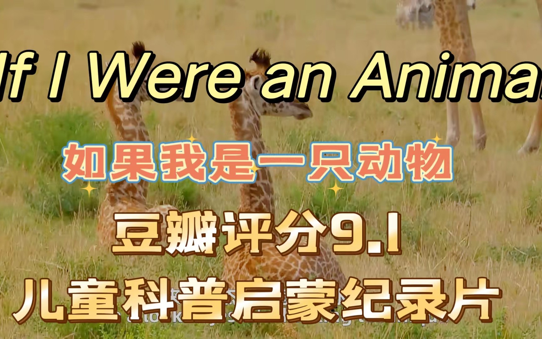 如果我是一只动物中英文全套下载第1张