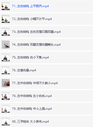 杨藩博士书法视频课程合集第5张