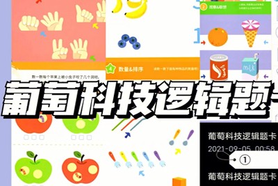 葡萄科技逻辑题卡1-3阶共3册PDF第1张