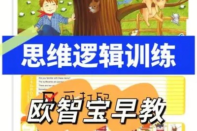 欧智宝逻辑思维教材AMIQ电子资料共90册PDF-逻辑思维锻炼第1张