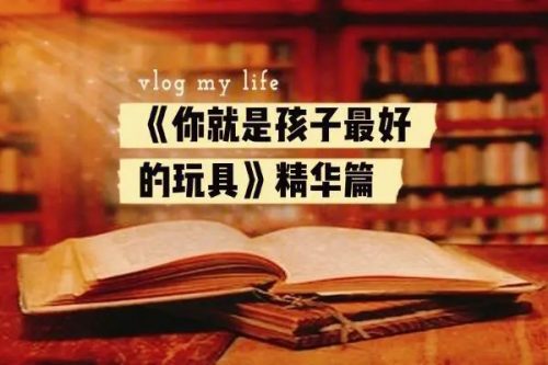 《你就是孩子最好的玩具》共1册PDF儿童早教教程第1张
