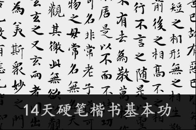 （程诚）《14天硬笔楷书基本功》第1张