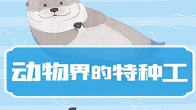 凯叔讲故事《动物界的特种工》20集完整版第1张