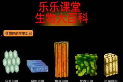 乐乐课堂生物大百科为6~12岁孩子搭建一个神奇的生物世界第1张
