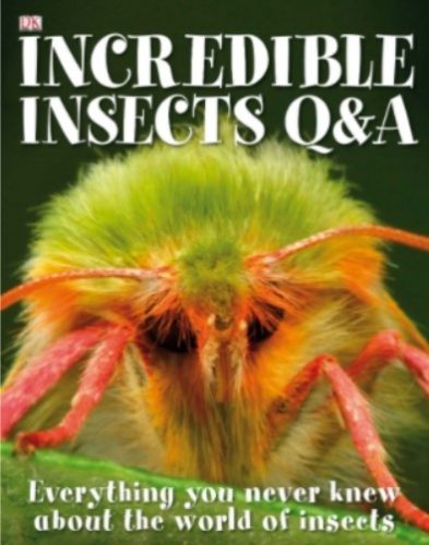 DK昆虫世界百科 DK Incredible Insects Q A 高清PDF第1张