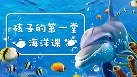 [芝麻学社]ahashool海洋探秘课-给孩子的第一堂海洋课第1张