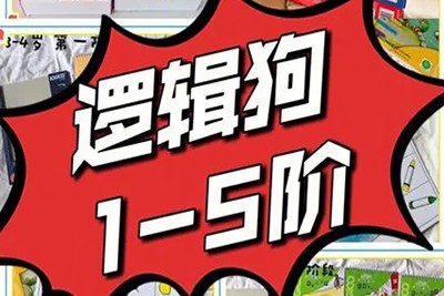 《逻辑狗LOGICO》1-5阶共32册PDF儿童思维训练教材第1张