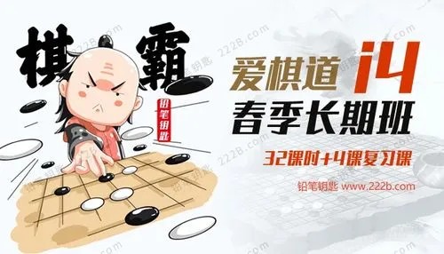 《王盛强老师围棋课：爱棋道春季i4长期班》32课时+4复习课第1张