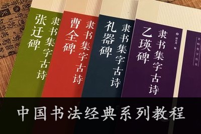 《中国书法经典系列教程：草书、楷书、隶书、纂书入门》共4套视频教程第1张