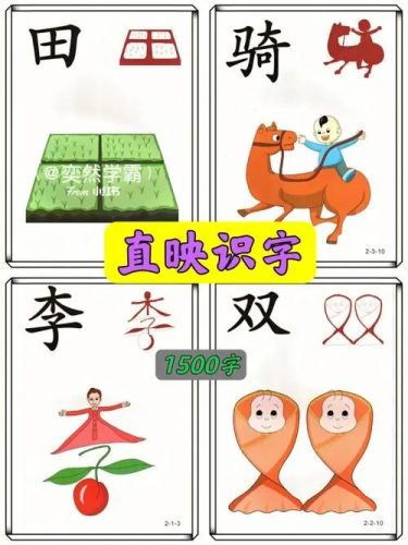 《直映认字》幼儿识字软件1-6册全套第1张