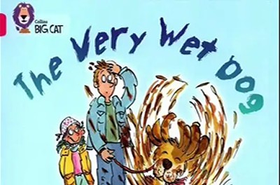 英文进阶分级阅读《柯林斯大猫 Big Cat 》1-11级绘本+音频第1张