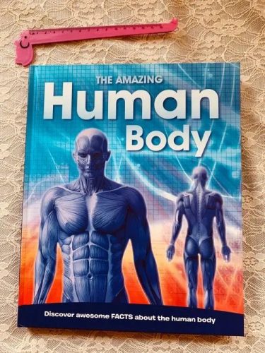 美国英语原版教科书《The Human Body》GK-G6共3册PDF第1张