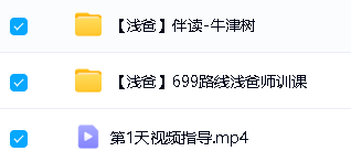 浅爸英语陪跑营全套（口语听力阅读伴读）合集网盘下载第3张
