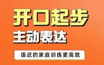 《从开口起步到主动表达》语言发展慢家庭训练第1张-亿卷 《从开口起步到主动表达》语言发展慢家庭训练第1张