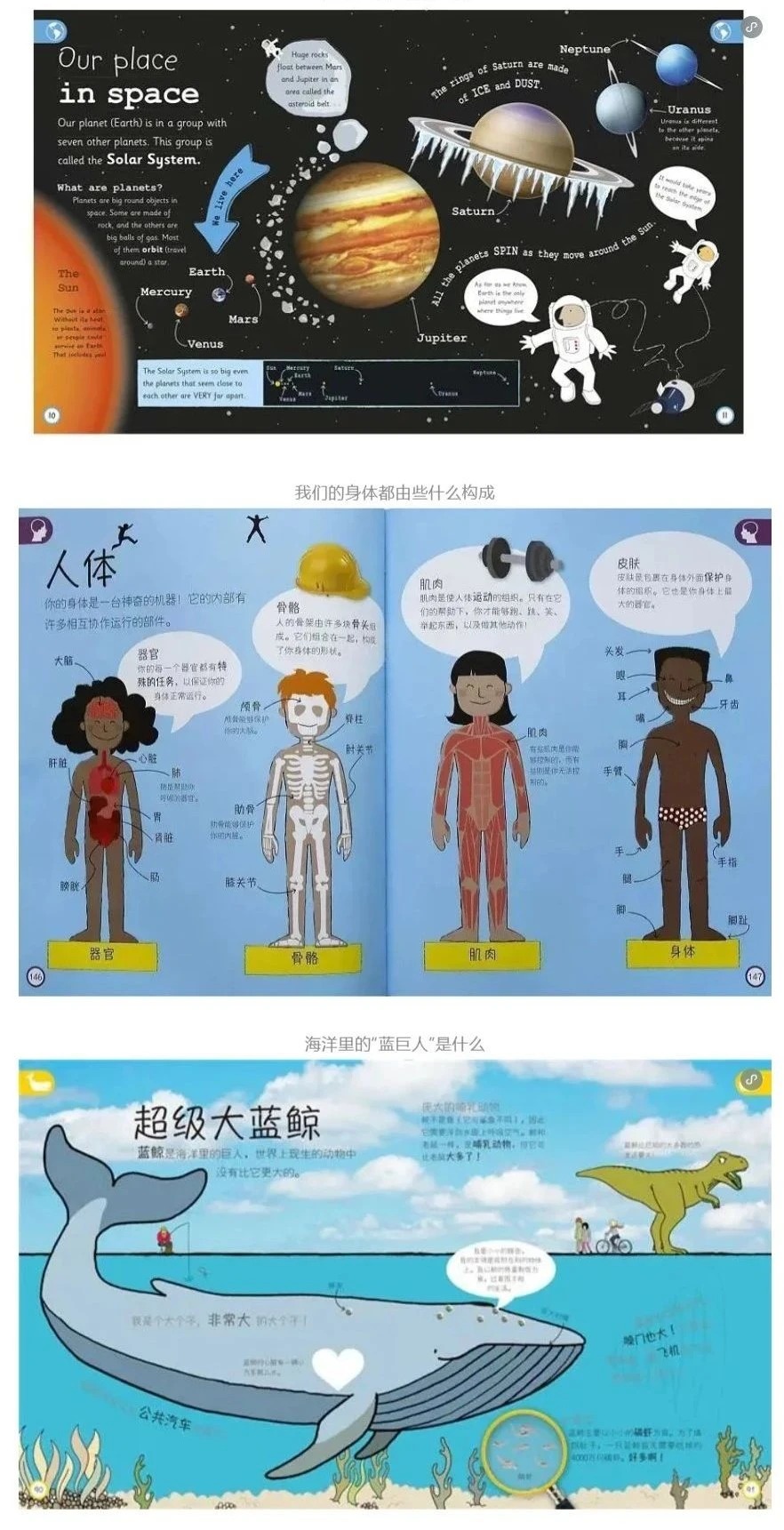 DK百科全书中文版大全套，上千本资源、视频等最全合集下载第6张