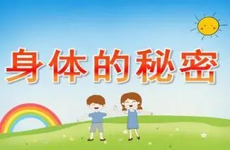 《身体的秘密：给宝宝的第一堂人体认知课》年糕妈妈视频课程第1张