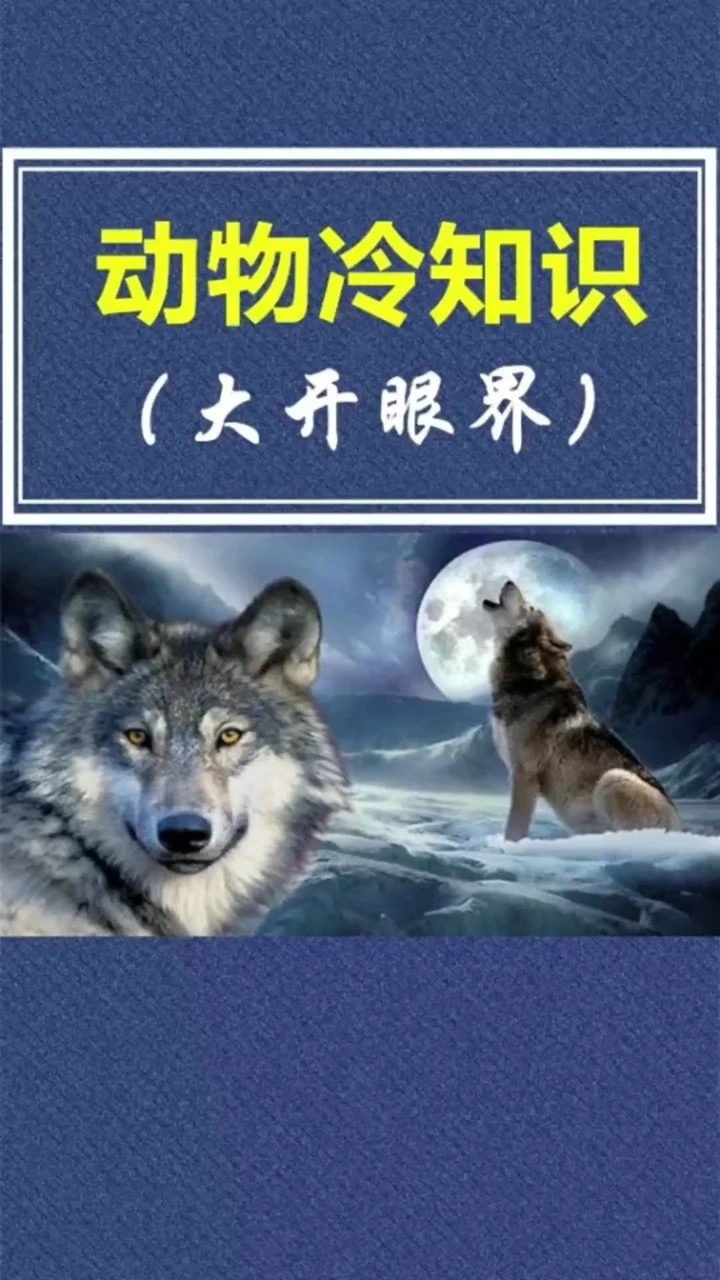 儿童动物知识科普动画片《动物冷知识》全26集第1张